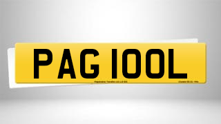 Registration PAG 100L